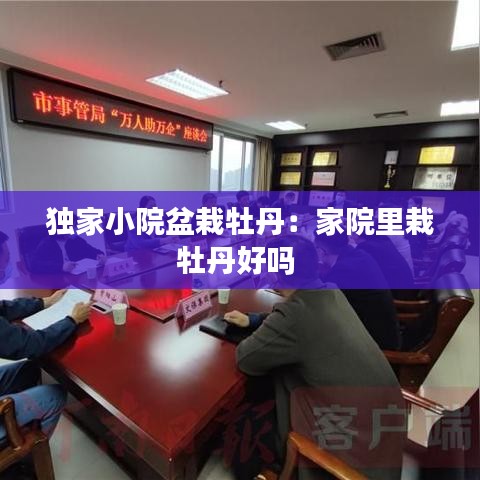 独家小院盆栽牡丹：家院里栽牡丹好吗 