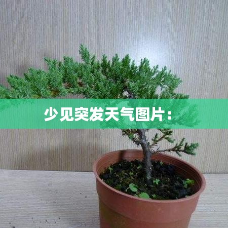 少见突发天气图片： 