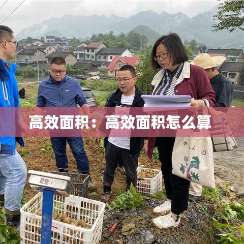 高效面积：高效面积怎么算 
