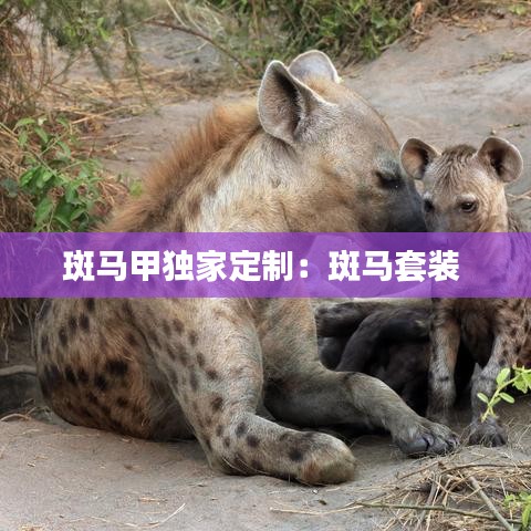 斑马甲独家定制：斑马套装 