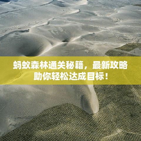 蚂蚁森林通关秘籍，最新攻略助你轻松达成目标！