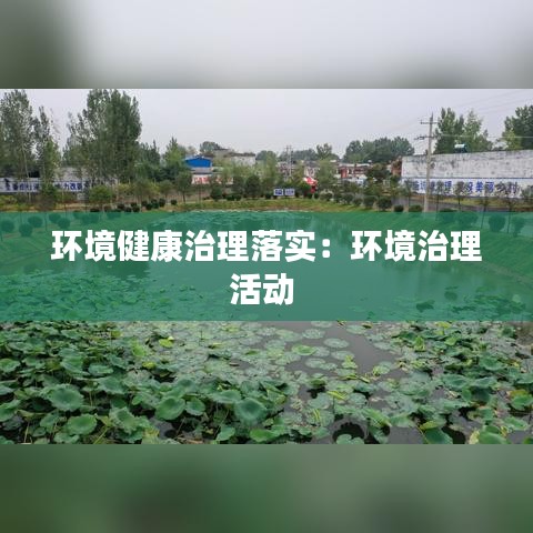 环境健康治理落实：环境治理活动 