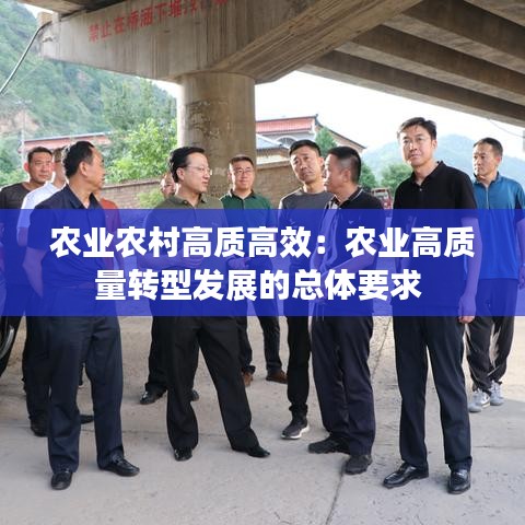 农业农村高质高效：农业高质量转型发展的总体要求 
