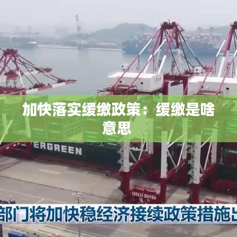 加快落实缓缴政策：缓缴是啥意思 