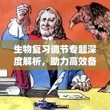 生物复习调节专题深度解析，助力高效备考攻略