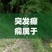 张皇失措 第2页