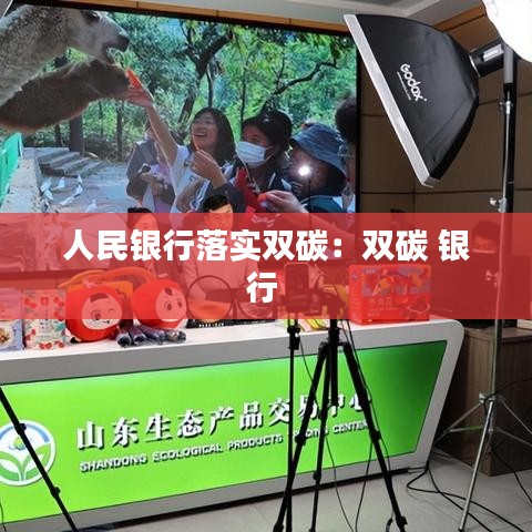 人民银行落实双碳：双碳 银行 