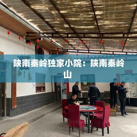 陕南秦岭独家小院：陕南秦岭山 