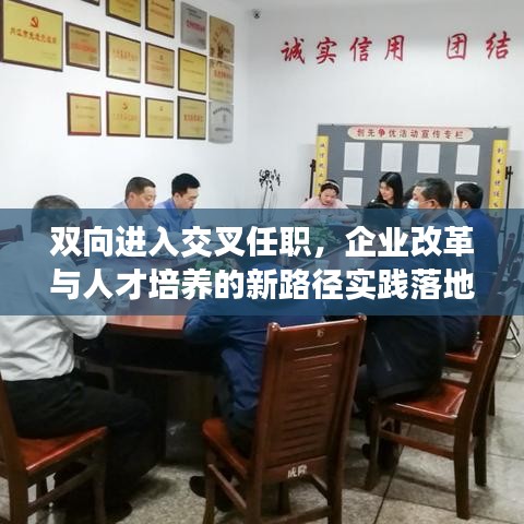 双向进入交叉任职，企业改革与人才培养的新路径实践落地