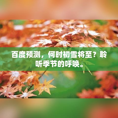 百度预测，何时初雪将至？聆听季节的呼唤。