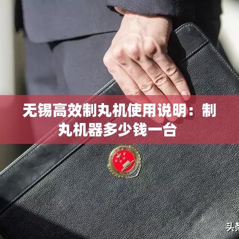 无锡高效制丸机使用说明：制丸机器多少钱一台 