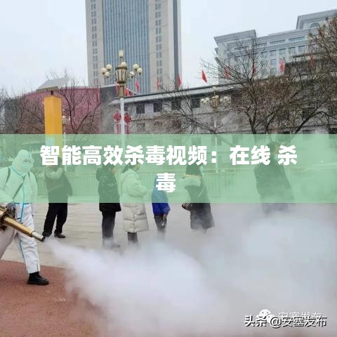 智能高效杀毒视频：在线 杀毒 