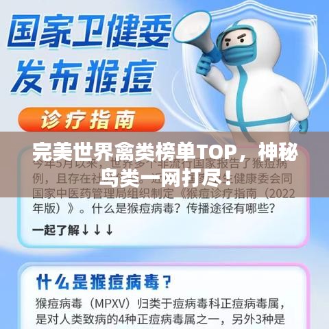 完美世界禽类榜单TOP，神秘鸟类一网打尽！
