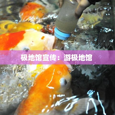 极地馆宣传：游极地馆 