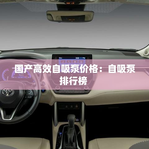 国产高效自吸泵价格：自吸泵排行榜 