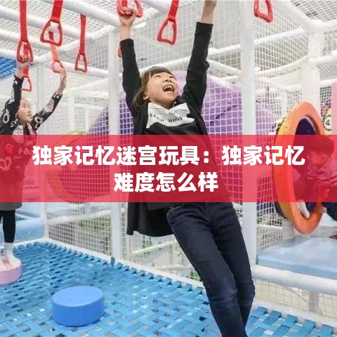 独家记忆迷宫玩具：独家记忆难度怎么样 