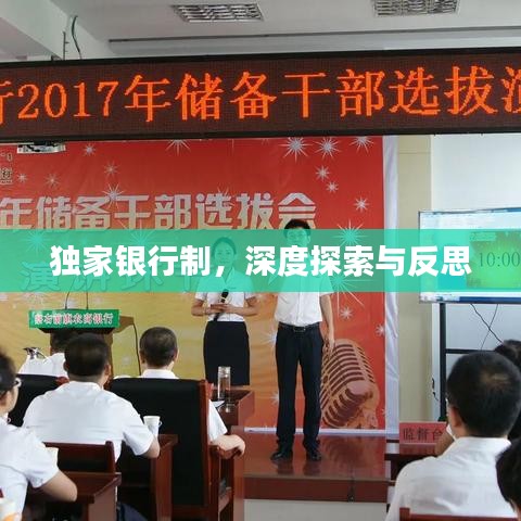 独家银行制，深度探索与反思