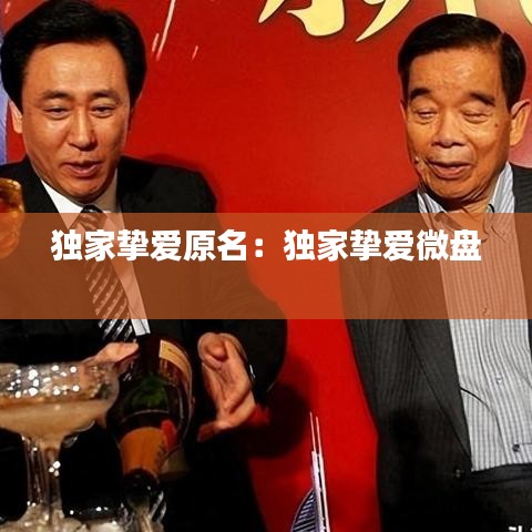 独家挚爱原名：独家挚爱微盘 