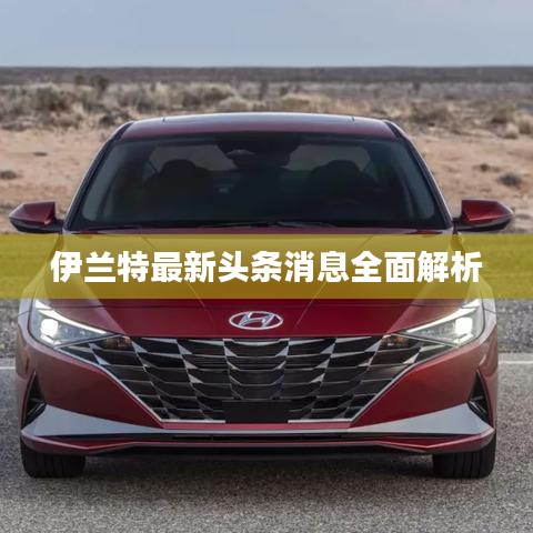 伊兰特最新头条消息全面解析