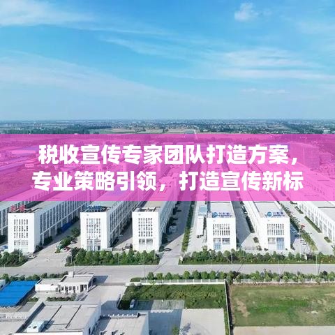 税收宣传专家团队打造方案，专业策略引领，打造宣传新标杆