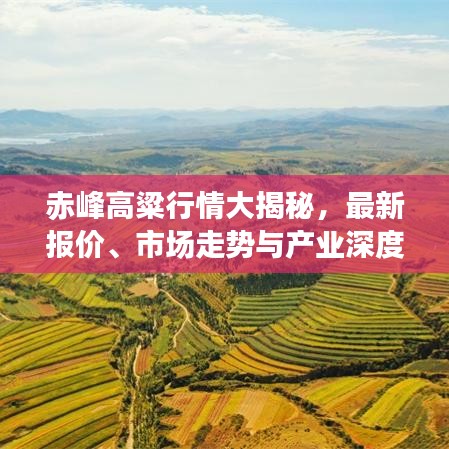 赤峰高粱行情大揭秘，最新报价、市场走势与产业深度洞察