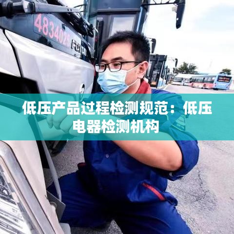 低压产品过程检测规范：低压电器检测机构 