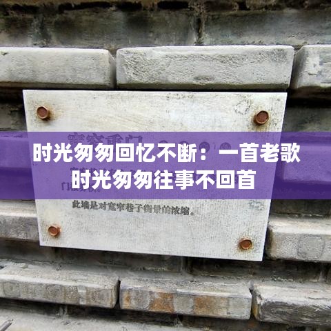 就事论事 第2页