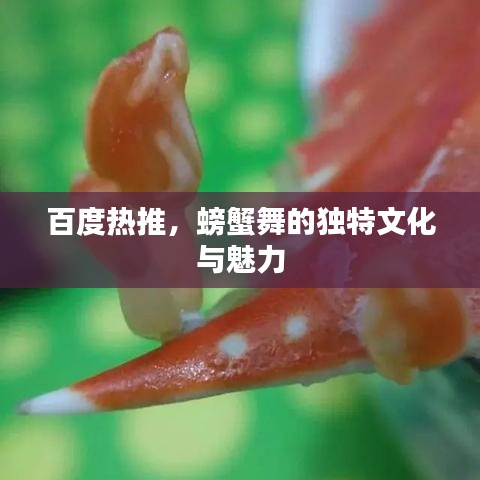 百度热推，螃蟹舞的独特文化与魅力