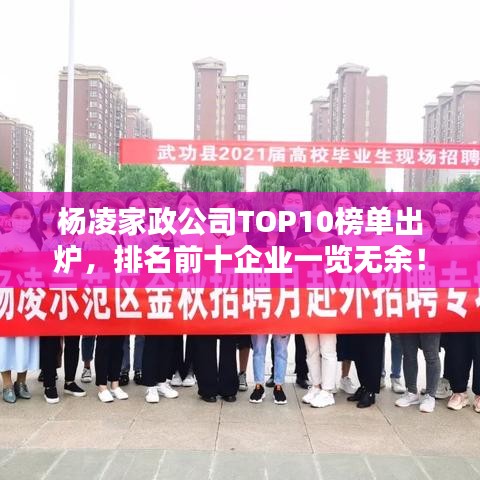 杨凌家政公司TOP10榜单出炉，排名前十企业一览无余！