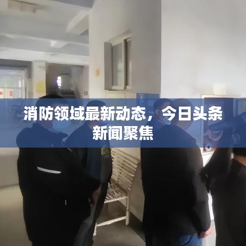 消防领域最新动态，今日头条新闻聚焦