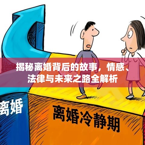 揭秘离婚背后的故事，情感、法律与未来之路全解析