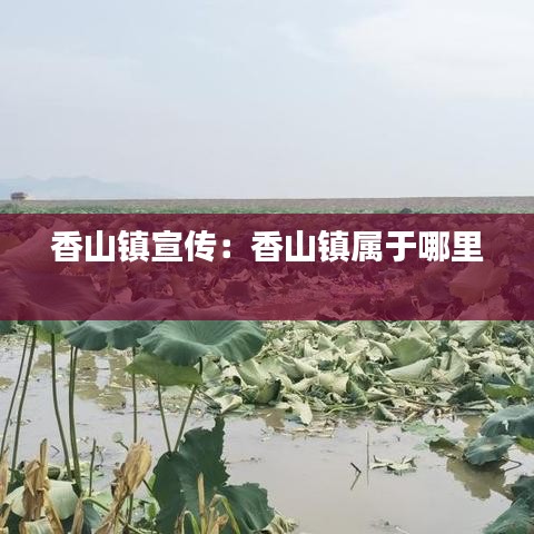 香山镇宣传：香山镇属于哪里 