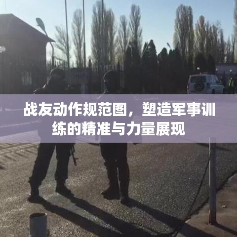 战友动作规范图，塑造军事训练的精准与力量展现