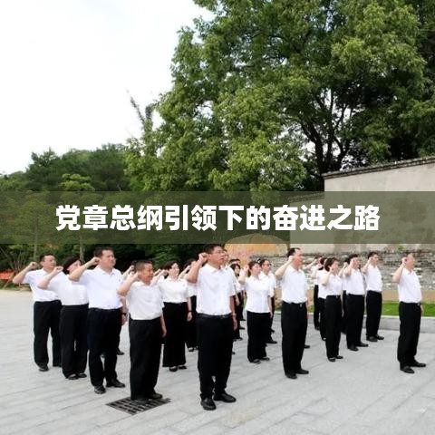 党章总纲引领下的奋进之路
