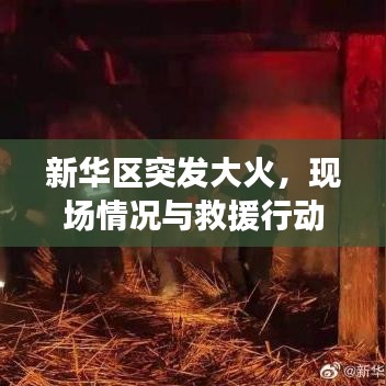 新华区突发大火，现场情况与救援行动全解析