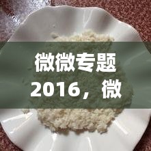 微微专题2016，微小变化背后的巨大潜力揭秘