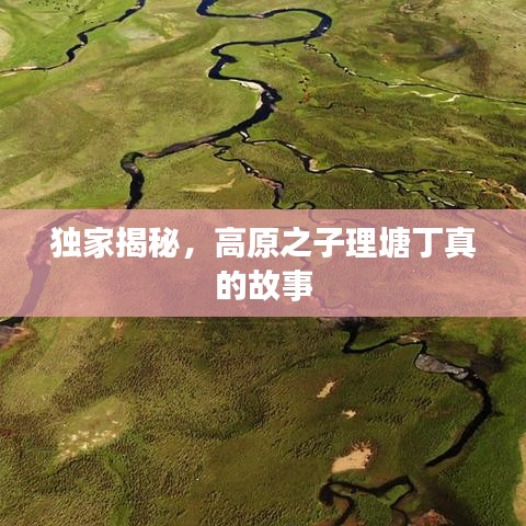 独家揭秘，高原之子理塘丁真的故事