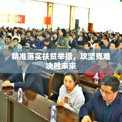 精准落实扶贫举措，攻坚克难决胜未来
