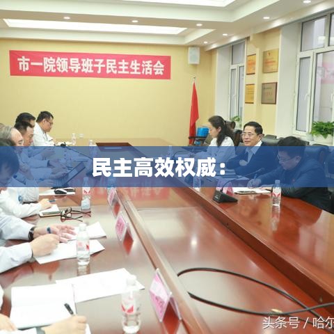 民主高效权威： 