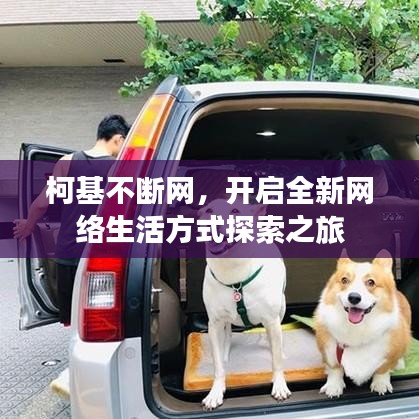 柯基不断网，开启全新网络生活方式探索之旅