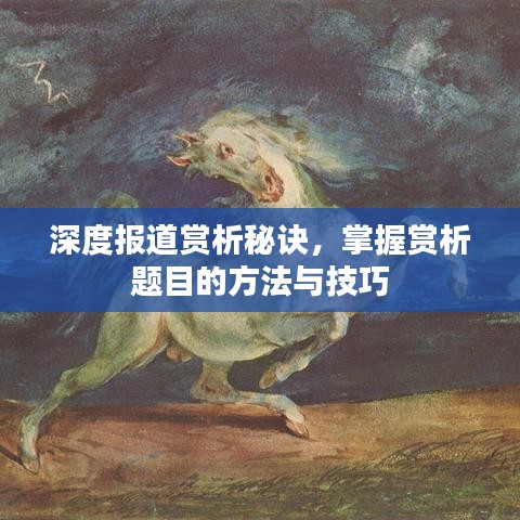 深度报道赏析秘诀，掌握赏析题目的方法与技巧