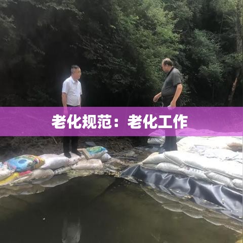 老化规范：老化工作 