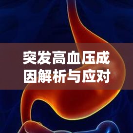 突发高血压成因解析与应对攻略，关键措施助你远离风险！