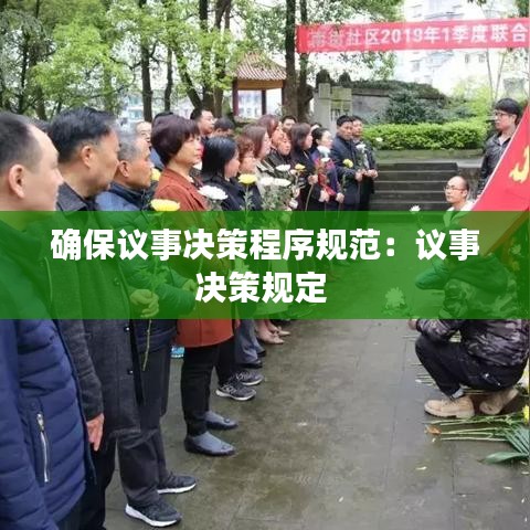 确保议事决策程序规范：议事决策规定 