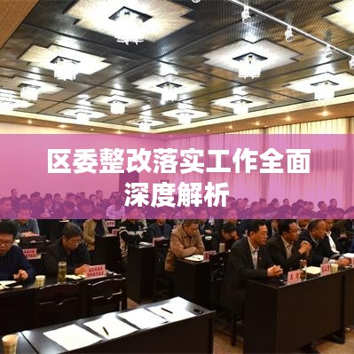 区委整改落实工作全面深度解析