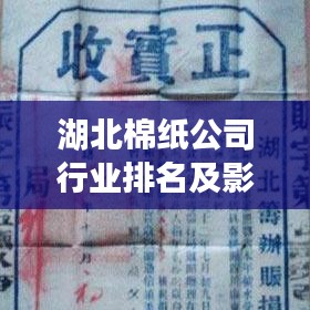 湖北棉纸公司行业排名及影响力解析