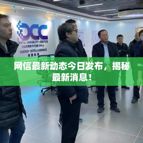 网信最新动态今日发布，揭秘最新消息！