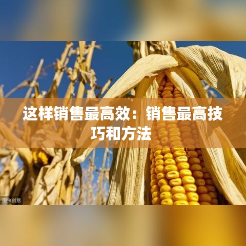 这样销售最高效：销售最高技巧和方法 