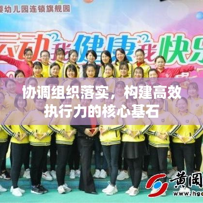 协调组织落实，构建高效执行力的核心基石