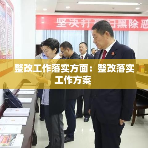 整改工作落实方面：整改落实工作方案 